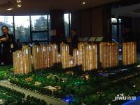京贸国际城峰景沙盘图图片