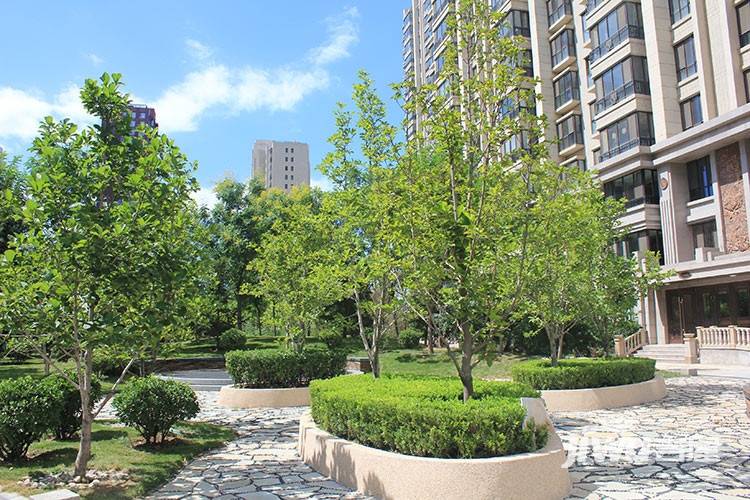太阳公元实景图图片