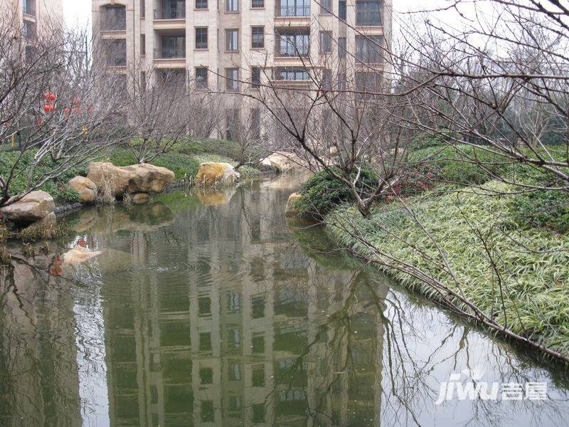 上海星河湾三期实景图图片