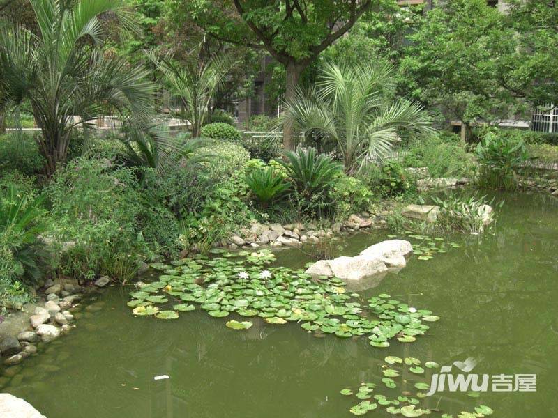 绿地东上海实景图图片