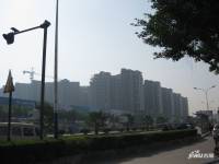 东方明珠城实景图图片