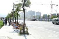 绿城·海棠湾位置交通图图片