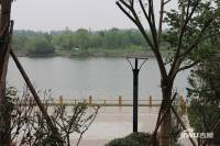 花语湖（禾城世纪花园II期）实景图0