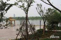 花语湖（禾城世纪花园II期）实景图图片