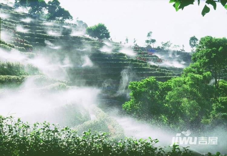 东部华侨城天麓实景图图片