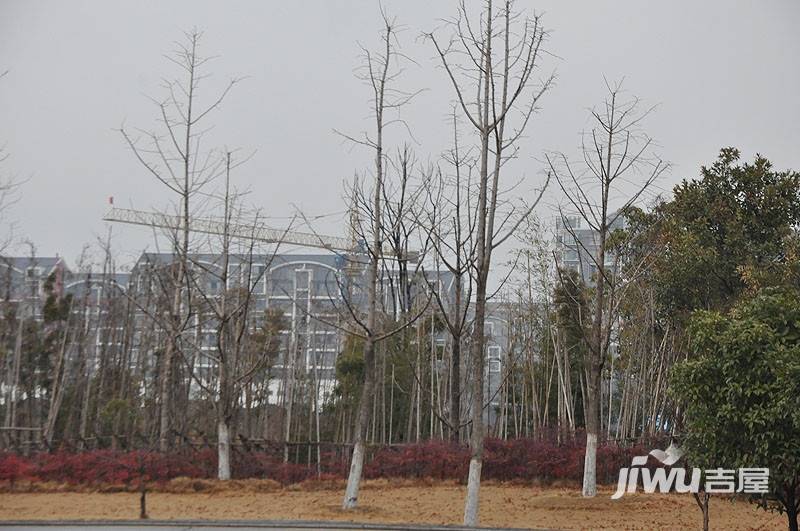 越湖名邸实景图图片