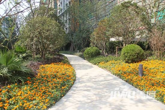 棠悦湾花园实景图图片