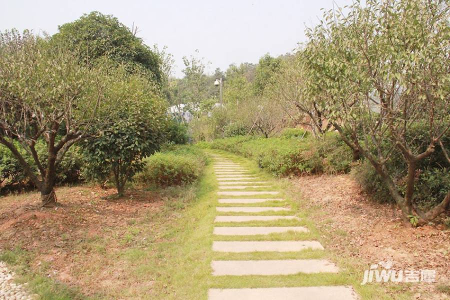 碧桂园南城首府实景图图片