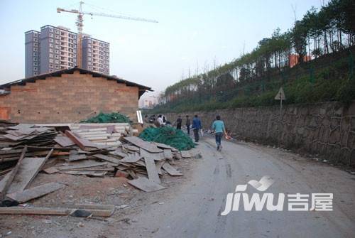 红树湾实景图图片