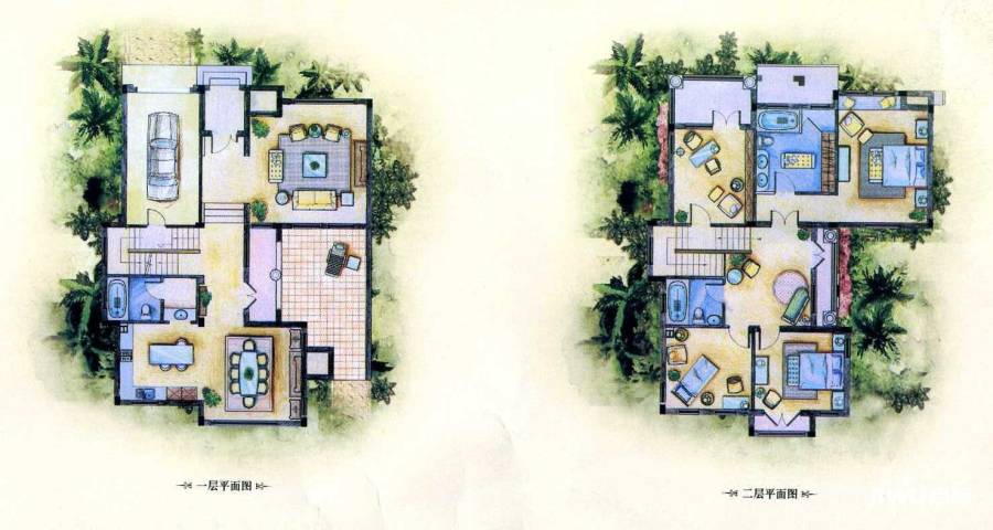 美洲故事普通住宅341.5㎡户型图