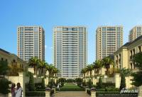 綠城蓮園實景圖