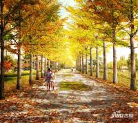 中鐵逸都外景圖/效果圖