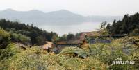 綠城青山湖紅楓園配套圖圖片