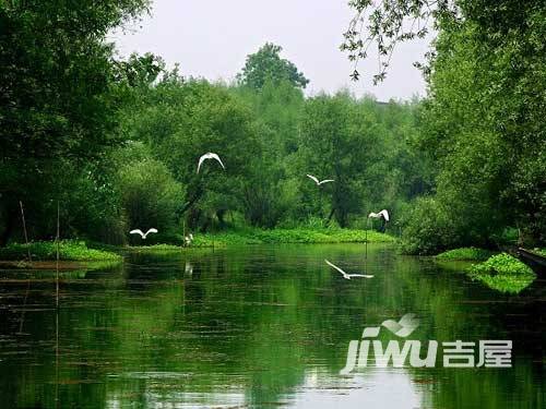 绿城翡翠湾配套图图片