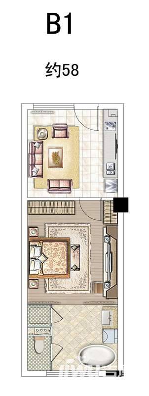 华元天鹅堡1室1厅1卫58㎡户型图