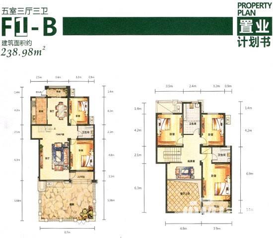 奥园康城5室3厅3卫239㎡户型图