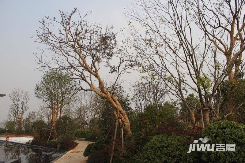 海悦天地实景图图片