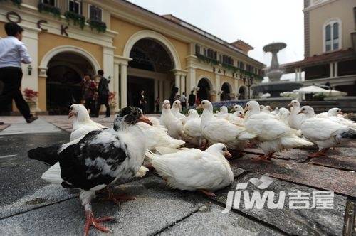 金地澜菲溪岸实景图图片