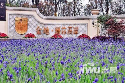 金地澜菲溪岸实景图图片