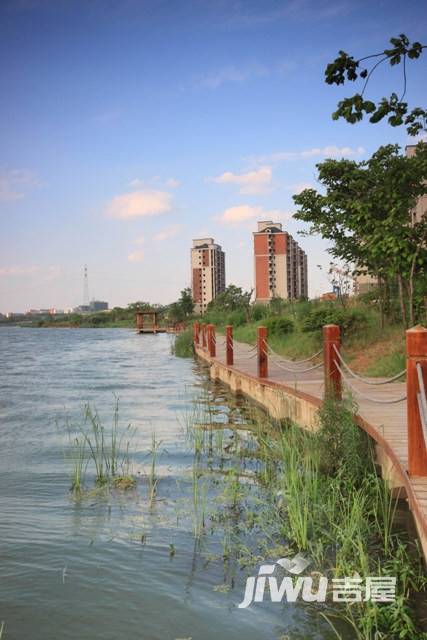 天琴湾实景图图片