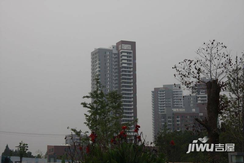 泰然南湖玫瑰湾别墅实景图图片