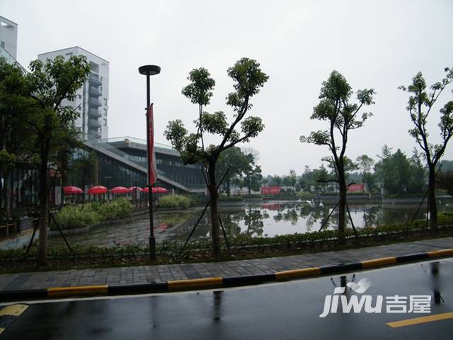 泰然南湖玫瑰湾别墅实景图图片