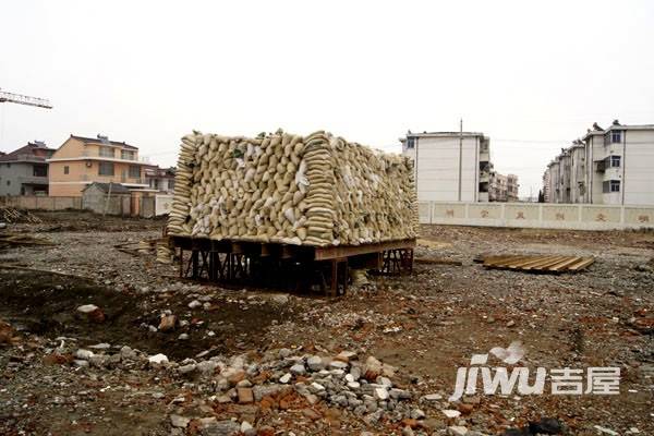 兴化玫瑰园实景图图片