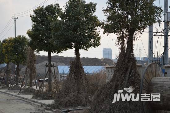 花园半岛实景图图片