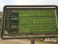 保利越秀·岭南林语位置交通图图片