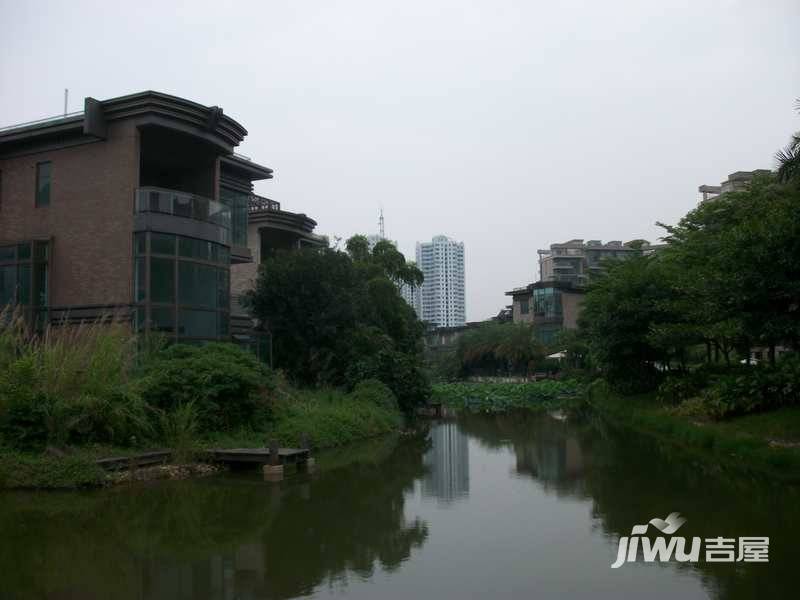 珊瑚天峰实景图图片