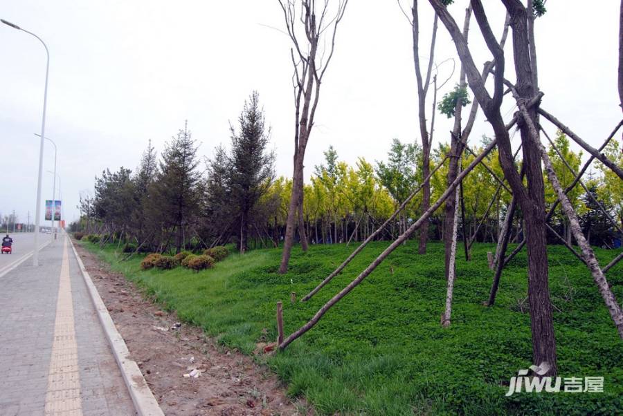 沈阳五彩阳光城实景图图片