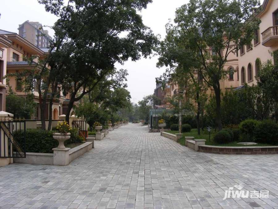 阳光国际花园实景图图片