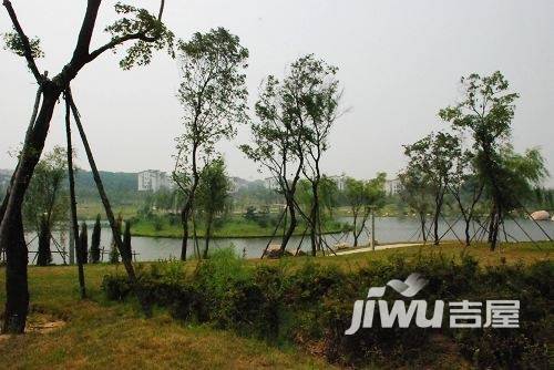 绿地大溪地实景图图片