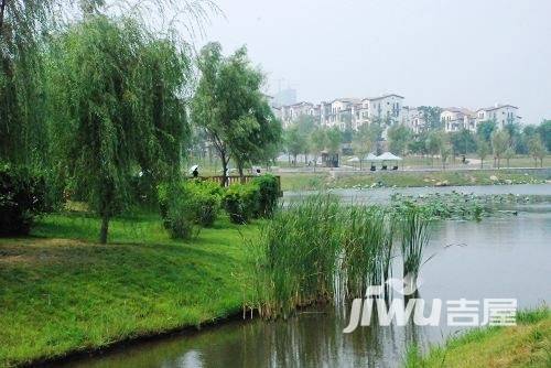 绿地大溪地实景图图片