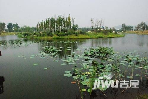 绿地大溪地实景图图片