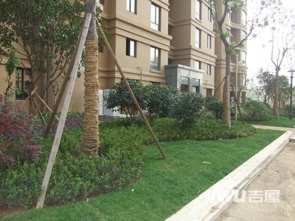 衢州君悦东方实景图图片