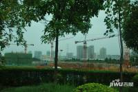 隆鑫西城汇实景图图片
