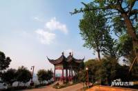 保利江上明珠锦园实景图图片
