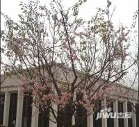 协信城立方实景图图片