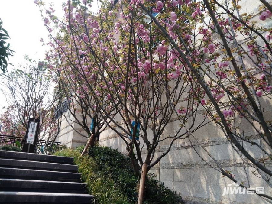 北大资源悦来实景图图片