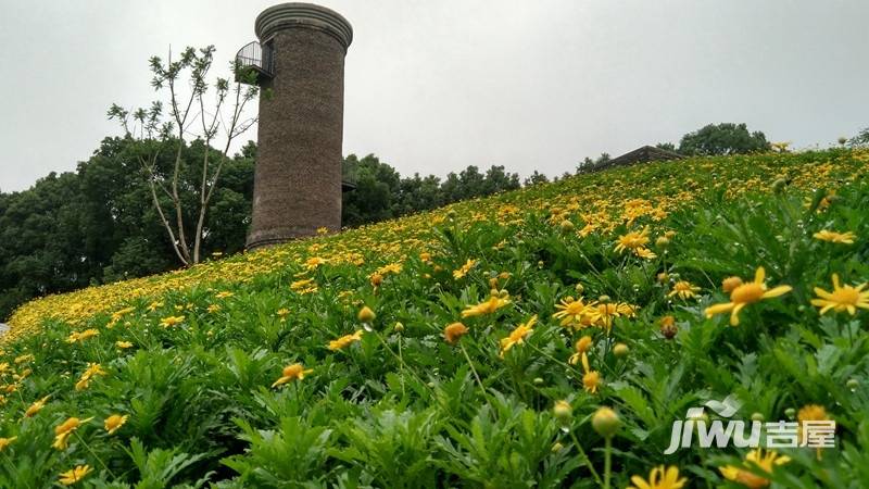 高屋林语堂实景图图片