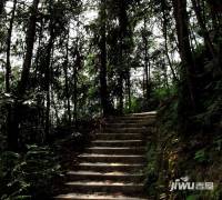 上邦高尔夫实景图图片