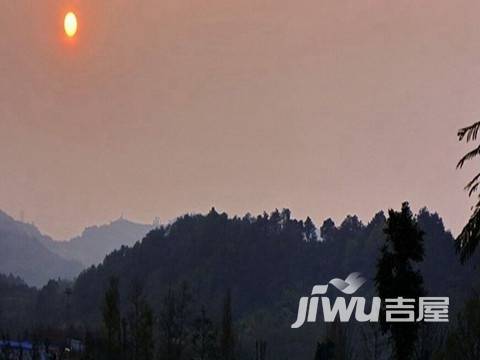 棕榈泉悦江国际配套图图片