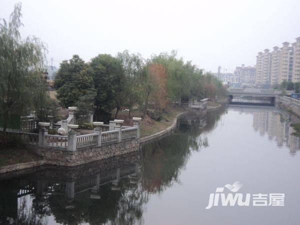 滨江雅园（北外滩水城）实景图图片