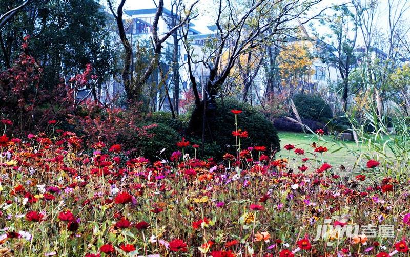 远洋桃花岛实景图图片