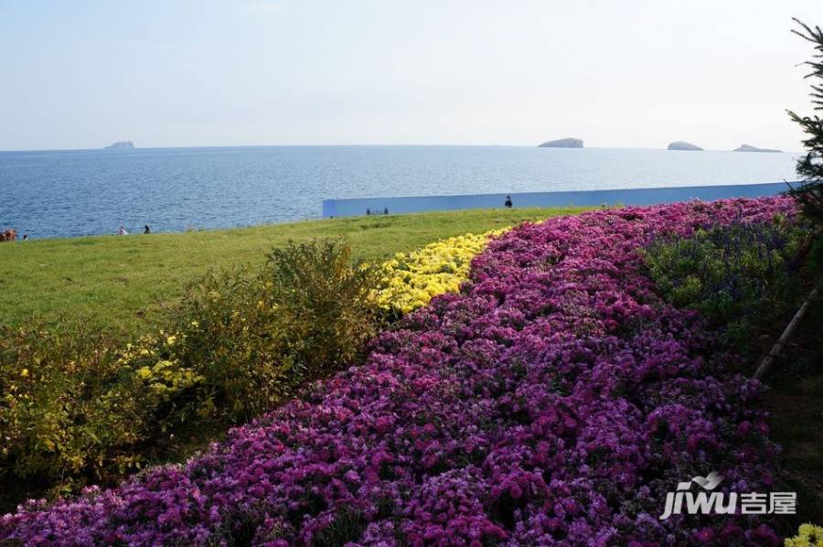 万达海公馆实景图图片