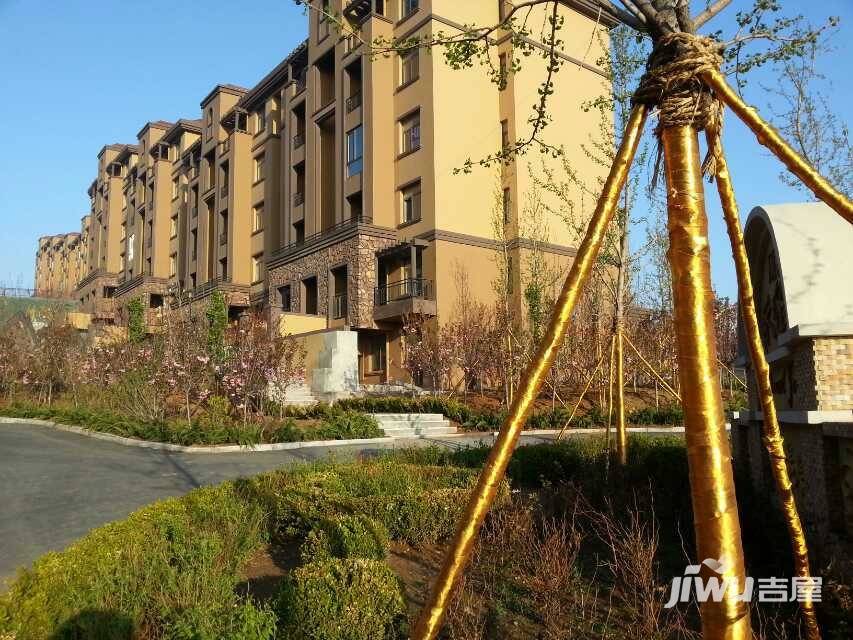 顺海香堤岛实景图图片