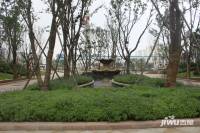 中铁诺德滨海花园实景图图片