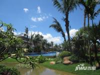 碧桂园椰城实景图图片