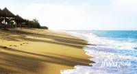 鲁能海蓝椰风实景图图片